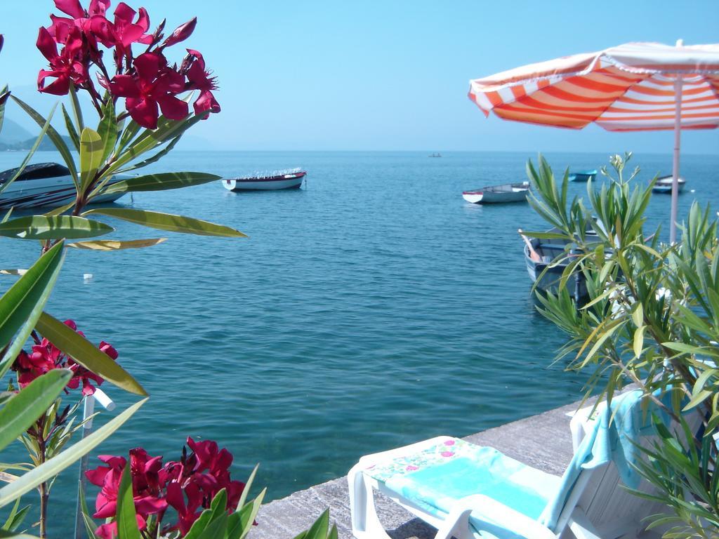 'By The Lake' Apartments Ohrid Værelse billede