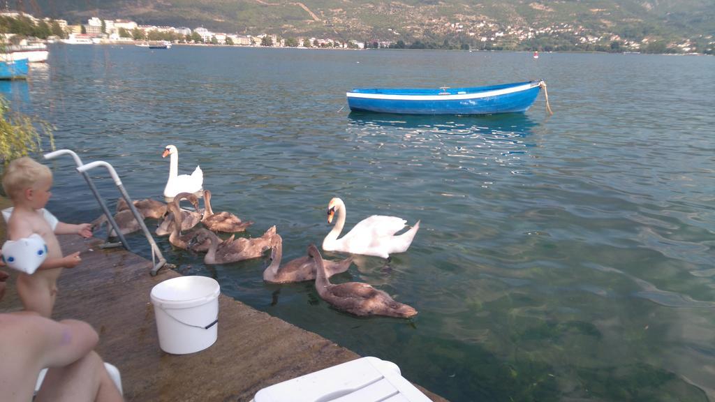 'By The Lake' Apartments Ohrid Eksteriør billede